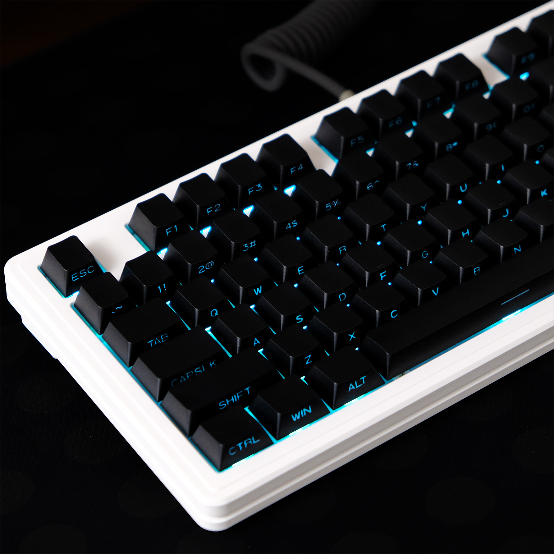 Black Side Print OEM Profile M - Keyboard Gaming Black review and price